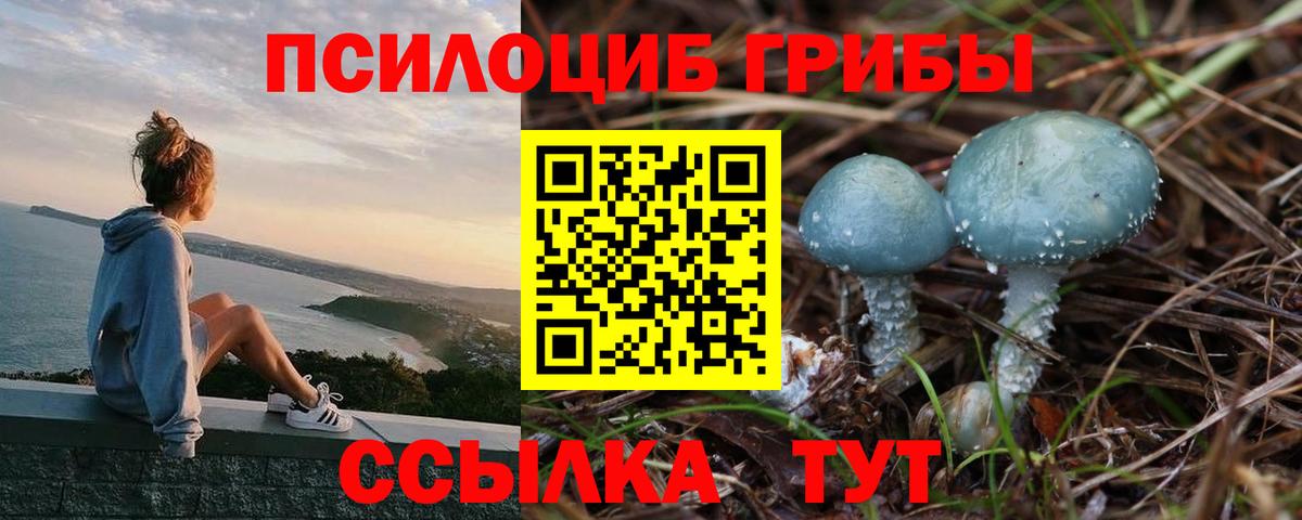 купить наркотики цена  Галлюциногенные грибы Psilocybe  Вход с VPN  Кимовск  Псилоцибиновые грибы Magic Shrooms 